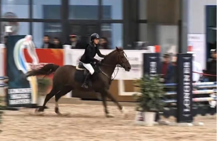 �����ϵ��ӱ���ϵ����2026����֮·...