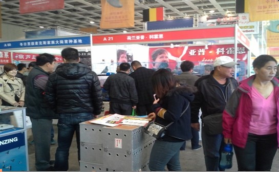 �־�����