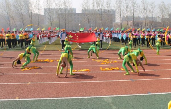 ؾٰ2015괺Сѧﾶ˶