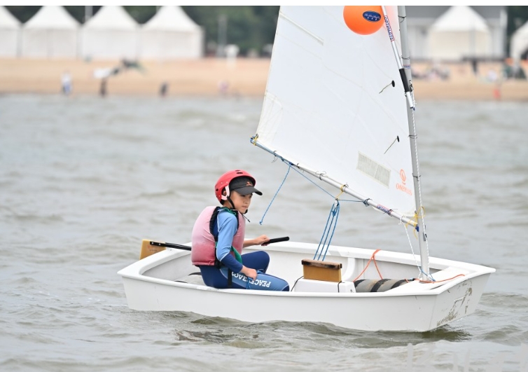 2024���ػʵ����ʷ����������Ļ����Щѡ�֡�һ������˳