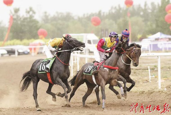 2018�й����ӱ��ڶ���ȫ���ٶ�������������Ļ